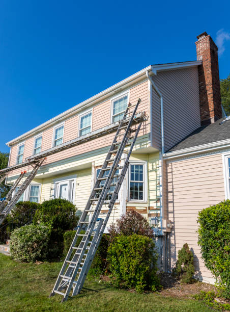 Best Furniture Removal  in Winnebago, IL
