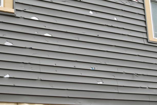 Best Construction Debris Removal  in Winnebago, IL