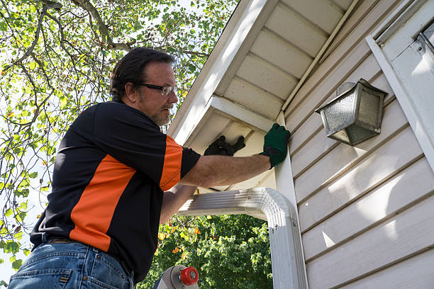 Best Attic Cleanout  in Winnebago, IL